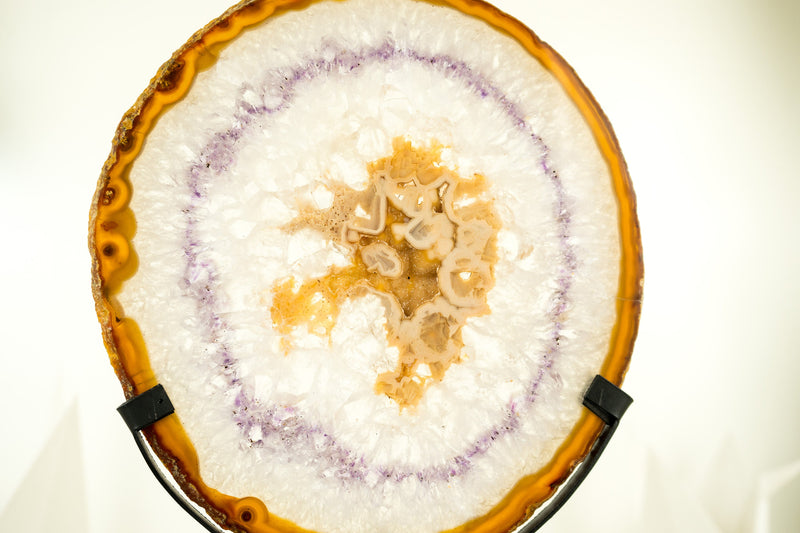 Natural Lace Agate Slice with Rare Amber Lace, Clear Crystal, Sugar Druzy, and Amethyst