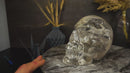 Natural Diamantina Quartz Crystal Skull filled with Rainbows
