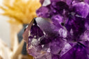 Amethyst Cluster with X-Large Rich Dark Deep Purple Druzy Points collective