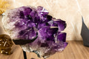 Amethyst Cluster with X-Large Rich Dark Deep Purple Druzy Points collective