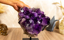 Amethyst Cluster with X-Large Rich Dark Deep Purple Druzy Points collective