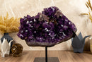 Amethyst Cluster with Calcite and Golden Goethite, Aaa Dark Amethyst collective