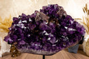 Amethyst Cluster with Calcite and Golden Goethite, Aaa Dark Amethyst collective