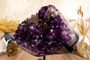 Amethyst Cluster with Calcite and Golden Goethite, Aaa Dark Amethyst collective