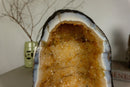 Small Deep Yellow Citrine Crystal Geode - E2D Crystals & Minerals