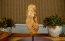 Orange Citrine Cluster with Galaxy Druzy on Metal Stand collective
