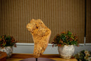 Orange Citrine Cluster with Galaxy Druzy on Metal Stand collective