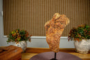 Orange Citrine Cluster with Galaxy Druzy on Metal Stand collective