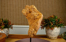 Orange Citrine Cluster with Galaxy Druzy on Metal Stand collective
