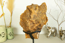 Pink Amethyst Geode with Dove of Peace Natural Drawing collective