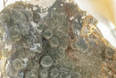 Sugar Druzy Amethyst Cluster with Amethyst Flowers (Stalactite) i_did