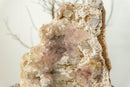 Lavender Amethyst Flower Rosette Plate Cluster with Calcite Inclusions, collective