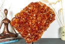 Deep Orange Citrine Cluster with X Large Citrine Points, Aaa Collection Grade collective