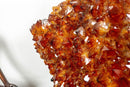 Deep Orange Citrine Cluster with X Large Citrine Points, Aaa Collection Grade collective