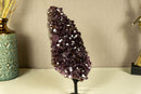 Amethyst Flower Rosette Cluster with Calcite Inclusions, Collector Grade collective
