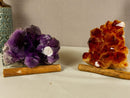 Set of Aaa Amethyst and Citrine Clusters with X Large Points collective