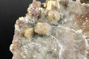 Set of 4 Rare Amethyst Rosette AKA Amethyst Flower Plate collective