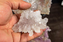 Set of 4 Rare Amethyst Rosette AKA Amethyst Flower Plate collective