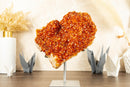 Large Natural Citrine Flower Cluster on Stand with Orange Citrine Crystal Stalactite - 6.5 Kg - 14.3 lb - E2D Crystals & Minerals