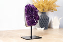 Deep and Rich Purple Amethyst Cluster with Polished Borders on Stand