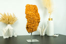 Large Orange Citrine Cluster with a Large Rosette Flower (Stalactite)