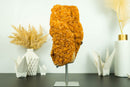 Large Orange Citrine Cluster with a Large Rosette Flower (Stalactite)