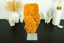 Large Orange Citrine Cluster with a Large Rosette Flower (Stalactite)