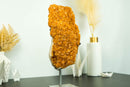 Large Orange Citrine Cluster with a Large Rosette Flower (Stalactite)
