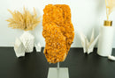 Large Orange Citrine Cluster with a Large Rosette Flower (Stalactite)