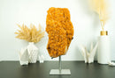 Large Orange Citrine Cluster with a Large Rosette Flower (Stalactite)