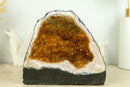 Medium Size Citrine Geode with Deep Orange Citrine Druzy, flower Rosettes