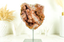 SELTENE kleine rosa & rote Amethyst-Geode mit AAA-Rose und rotem Amethyst-Drusen