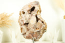 Wunderschöne rosa Amethyst Geode mit natürlichen rosa Amethyst Druzy