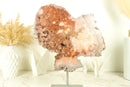 RARE Pink Amethyst Geode with Red Galaxy Amethyst Druzy