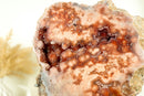Seltene rote und rosa Amethyst-Geode mit tiefrotem Amethyst-Druzy