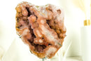 SELTENE kleine rosa & rote Amethyst-Geode mit AAA-Rose und rotem Amethyst-Drusen