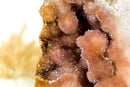 SELTENE kleine rosa & rote Amethyst-Geode mit AAA-Rose und rotem Amethyst-Drusen