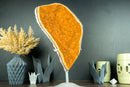 Majestic Tall Orange Citrine Cluster with Orange Galaxy Citrine Druzy on Stand - 18 In, 10 Lb - E2D Crystals & Minerals
