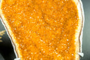 Majestic Tall Orange Citrine Cluster with Orange Galaxy Citrine Druzy on Stand - 18 In, 10 Lb - E2D Crystals & Minerals