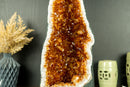 Rare Citrine Geode Cathedral with AAA Dark Citrine Druzy and Flower Rosette Stalactites
