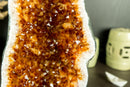 Rare Citrine Geode Cathedral with AAA Dark Citrine Druzy and Flower Rosette Stalactites