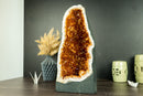 Rare Citrine Geode Cathedral with AAA Dark Citrine Druzy and Flower Rosette Stalactites