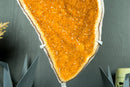 Majestic Tall Orange Citrine Cluster with Orange Galaxy Citrine Druzy on Stand - 18 In, 10 Lb - E2D Crystals & Minerals