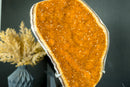 Majestic Tall Orange Citrine Cluster with Orange Galaxy Citrine Druzy on Stand - 18 In, 10 Lb - E2D Crystals & Minerals