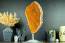 Majestic Tall Orange Citrine Cluster with Orange Galaxy Citrine Druzy on Stand - 18 In, 10 Lb - E2D Crystals & Minerals