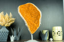 Majestic Tall Orange Citrine Cluster with Orange Galaxy Citrine Druzy on Stand - 18 In, 10 Lb - E2D Crystals & Minerals