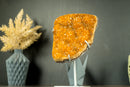 Rare Orange Citrine Cluster with Rosette Flowers (Stalactite) and Galaxy Druzy