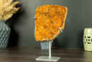 Rare Orange Citrine Cluster with Rosette Flowers (Stalactite) and Galaxy Druzy