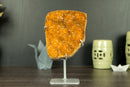 Rare Orange Citrine Cluster with Rosette Flowers (Stalactite) and Galaxy Druzy