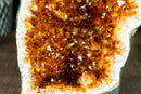 Rare Citrine Geode Cathedral with AAA Dark Citrine Druzy and Flower Rosette Stalactites